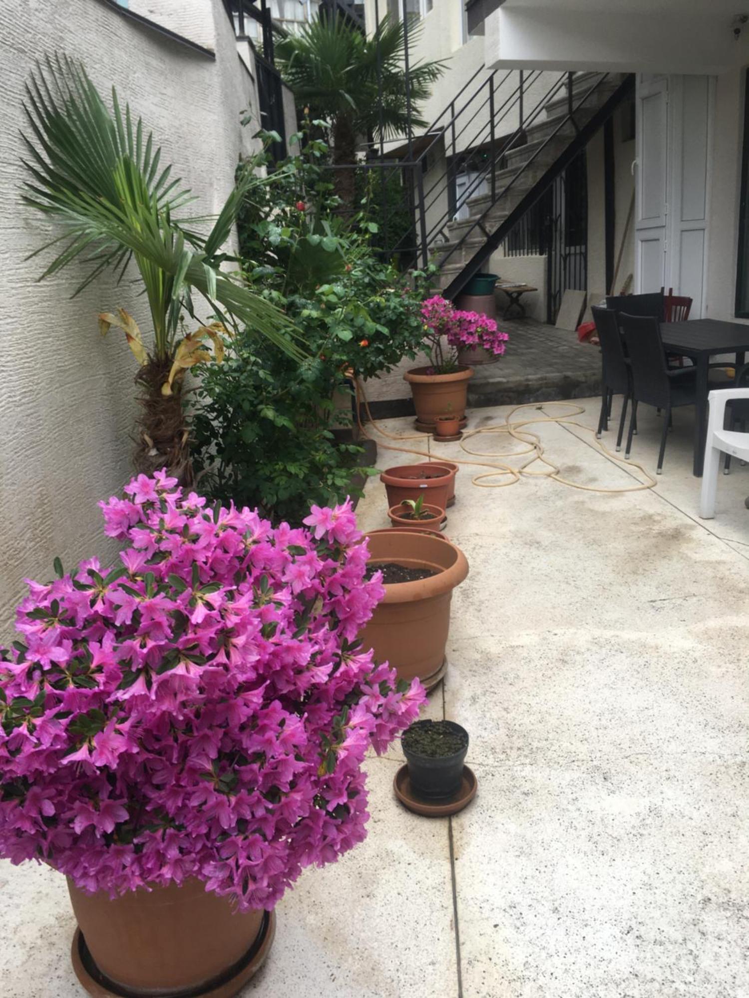 10 Shindisi Street,Tbilisi Apartment Bagian luar foto