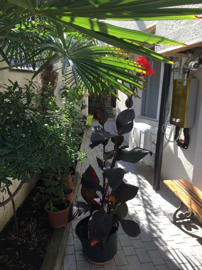 10 Shindisi Street,Tbilisi Apartment Bagian luar foto